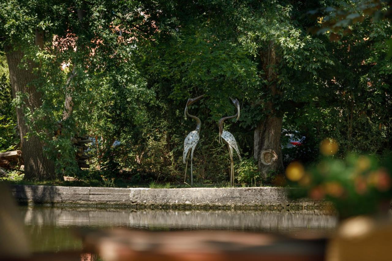 Luxus Hotel Design Villa Ottilienruh Ilsenburg Im Harz エクステリア 写真
